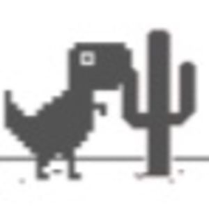 Meet your Posher, Sasha